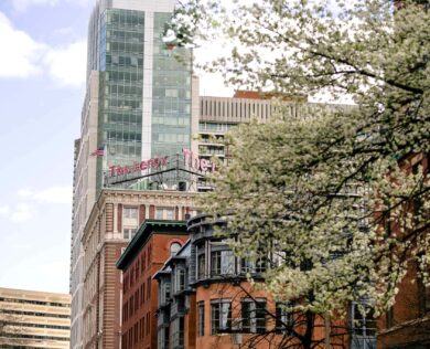 lenox hotel building tree